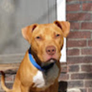 Meet your Posher, Lindsay